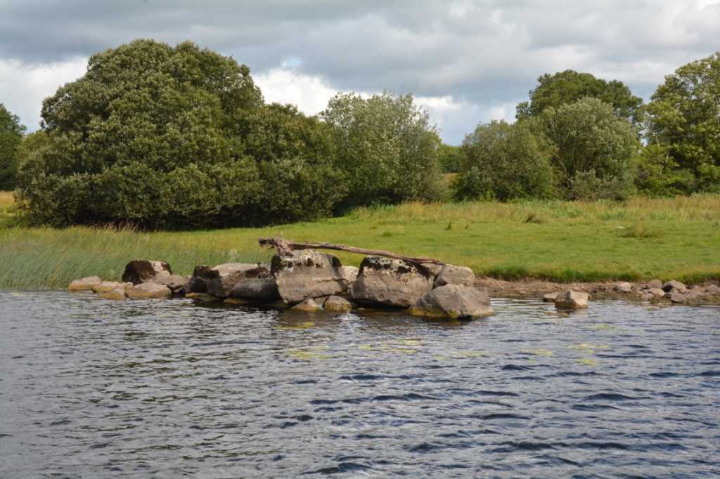 DSC_6127Mittel_.JPG